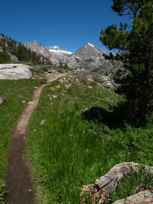 P7062351 Looking north near woods creek 1.JPG