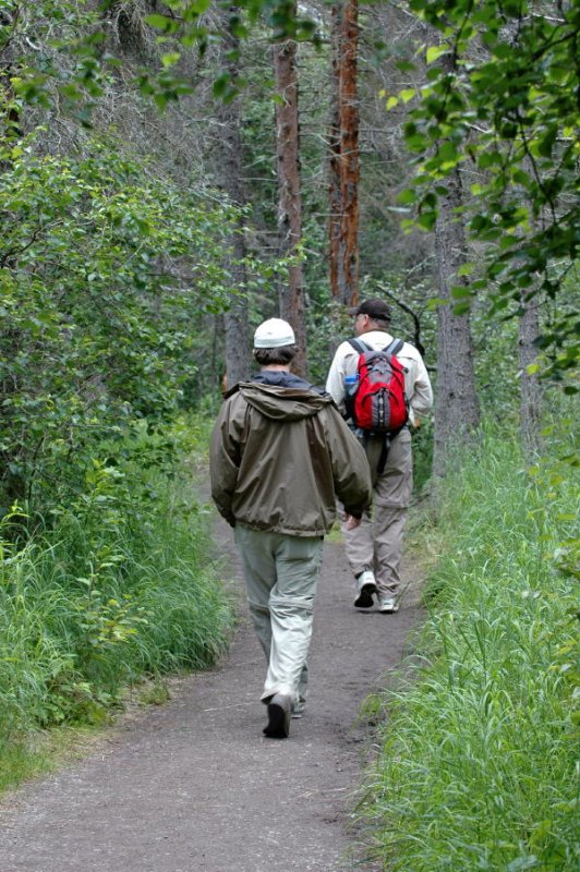 Hiking to the Falls