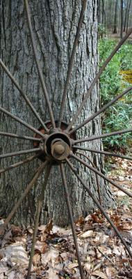 The Wagon Wheel