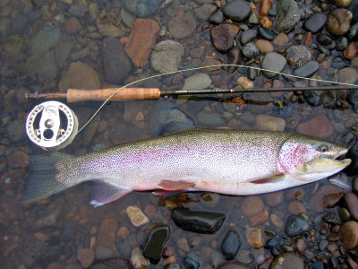 Nice Rainbow