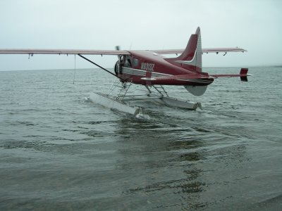 Branch River Air Service