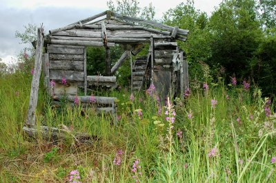 Trappers Cabin