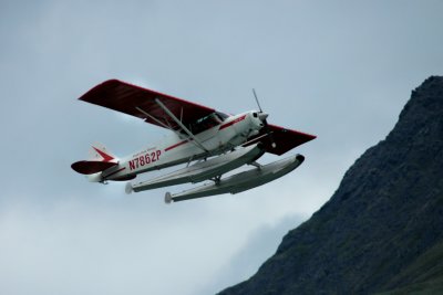 Frank and Supercub