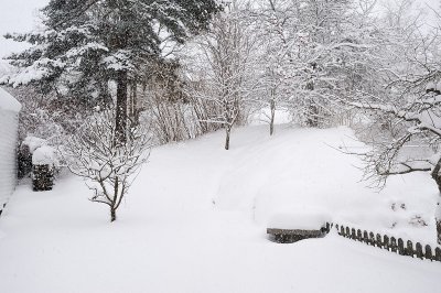 Snowy surroundings at home