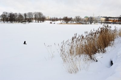 DSC_5607_600px.jpg