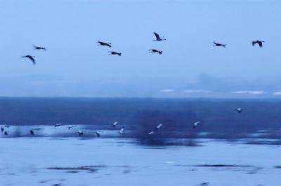 DSC_0023.jpg