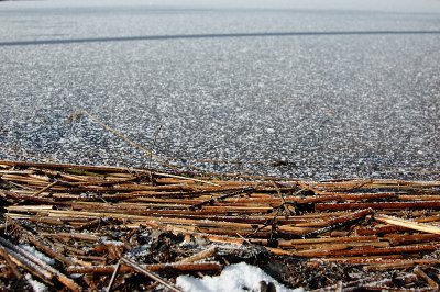 DSC_7584.jpg