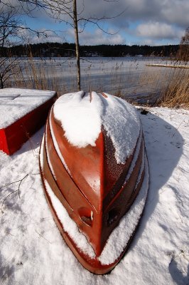 DSC_7597.jpg