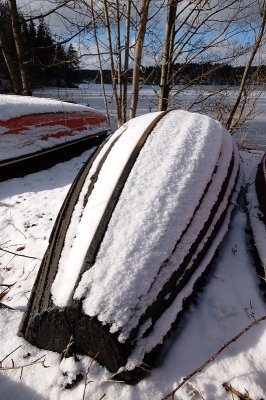 DSC_7598.jpg
