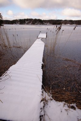 DSC_7599.jpg
