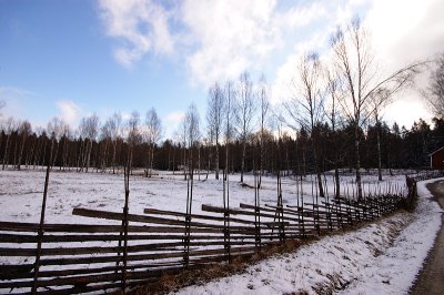 DSC_7605.jpg