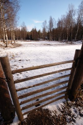 DSC_7613.jpg
