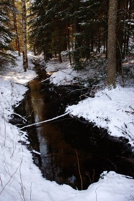 DSC_7625.jpg