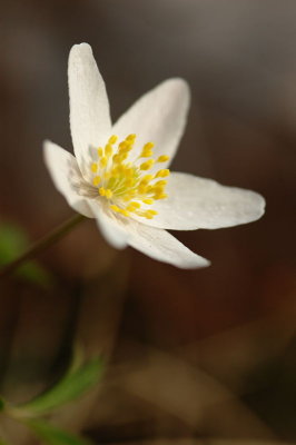 DSC_0048.jpg