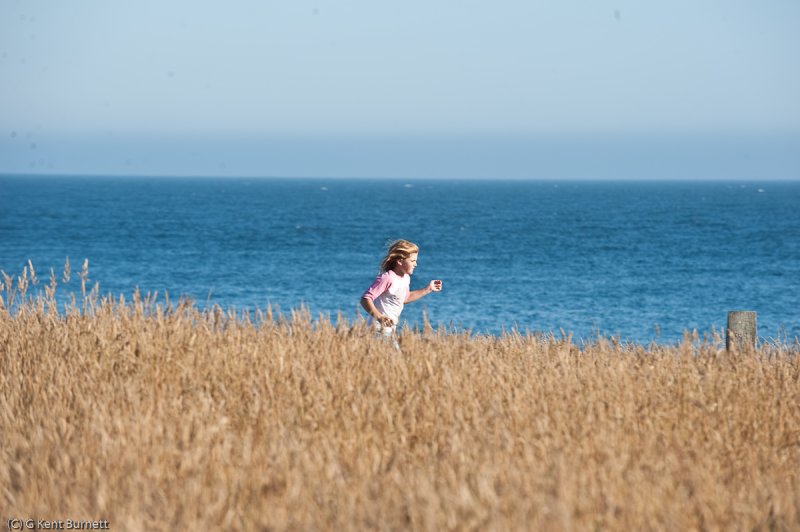 Sea Ranch (41 of 51).jpg