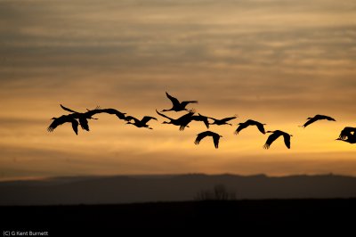 Morning Departure