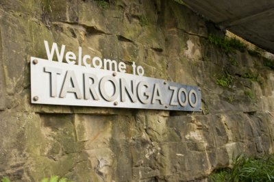 taronga_zoo