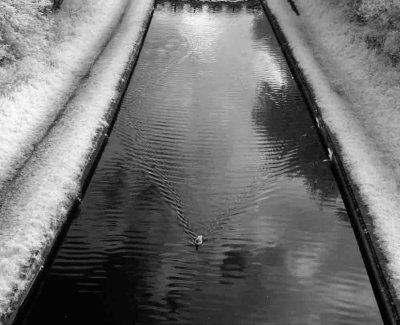 Dudley No.2 Canal. #21