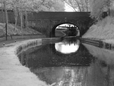 Shropshire Union Canal #11