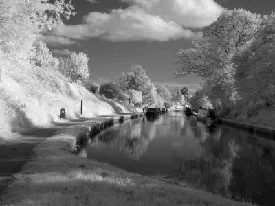 Shropshire Union Canal #12