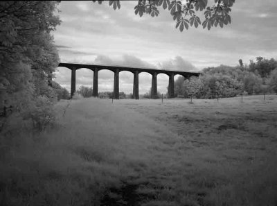 Llangollen Canal #8