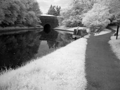 Llangollen Canal #13