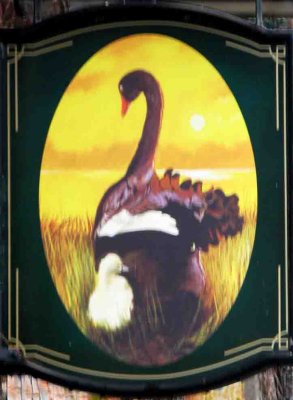 Black Swan,Leyburn