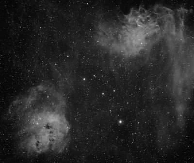 Tadpole Nebula (IC 410), Flaming Star Nebula (IC 405) in Auriga