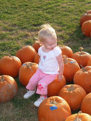 Madilyn with pumpkins Tate Farms 100907