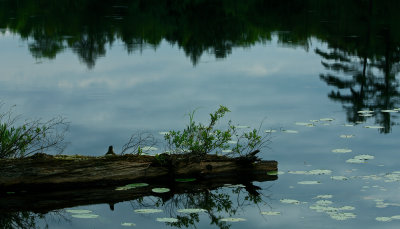 Reflections on Deadman's