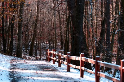 Enter Winter