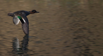 wintertaling
