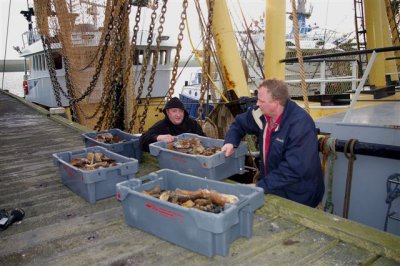 Weer een kleine 100 kilo fossiel