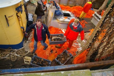 kist met bovenop stuk slagtand van een mammoet