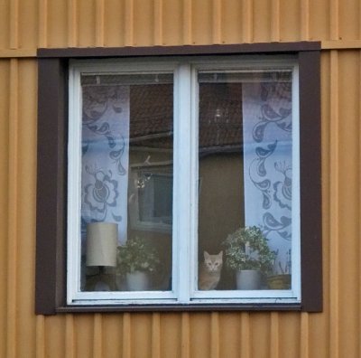 g3/84/809884/3/123293897.dmsIHkRY.jpg