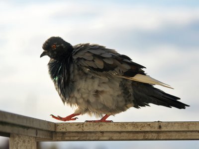 g3/84/809884/3/124170518.t3rbOwIp.jpg