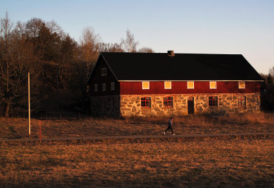 pole, stick, barn and jogger