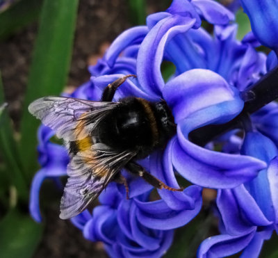 bzzzzzz....  :o)