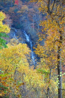 Georgia State Autumn