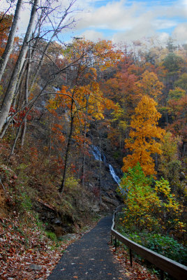 Georgia State Autumn