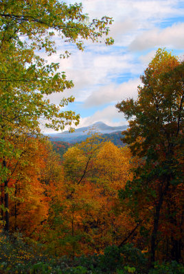 Georgia State Autumn