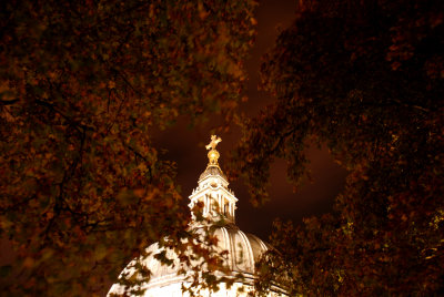 g3/84/815084/3/89073002.UFhPbkLh.jpg