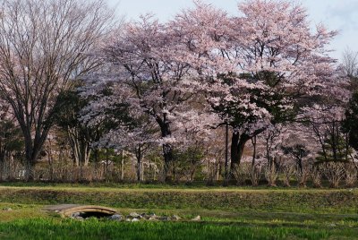 Nasu Tochigi