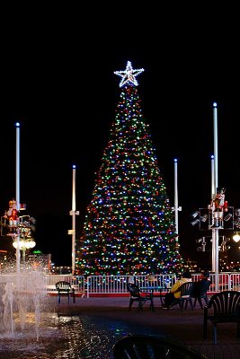 Jacksonville's Official Christmas Tree