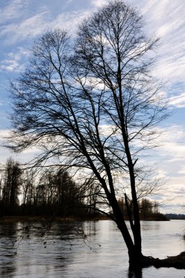 Looking up the river