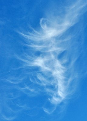 The Wisp