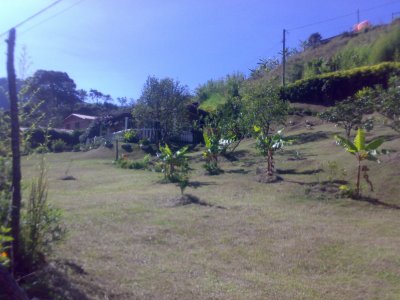 Finca4.jpg