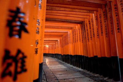 Fujimi Inari Shrine 伏見稲荷大社