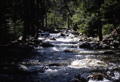 film slides163.tif