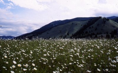 film slides165.tif